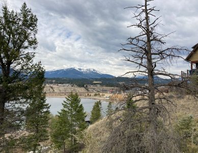 Shorelines and Structures Donation