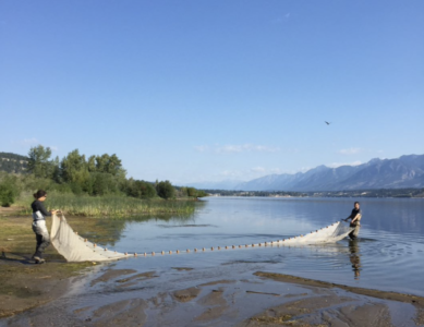 Its Oh-fish-al! Lake Windermere and Columbia Lake’s 2021 Shoreline Fisheries Assessment Results Are In