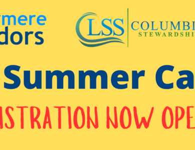2026 Kids Summer Camp Registration Now Open!